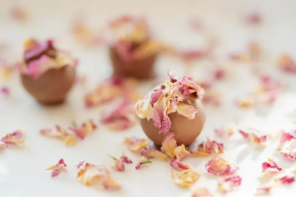 Otto Kasino Aplikacja Android/iOS